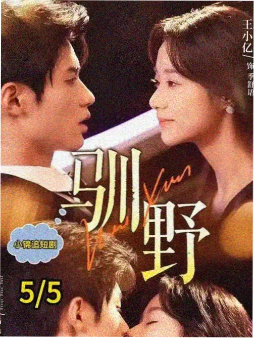 雾港夜航待更新剧照